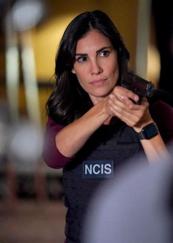 'NCIS:Los Angeles' Star Daniela Ruah Has a Birthmark in Her Right Eye
