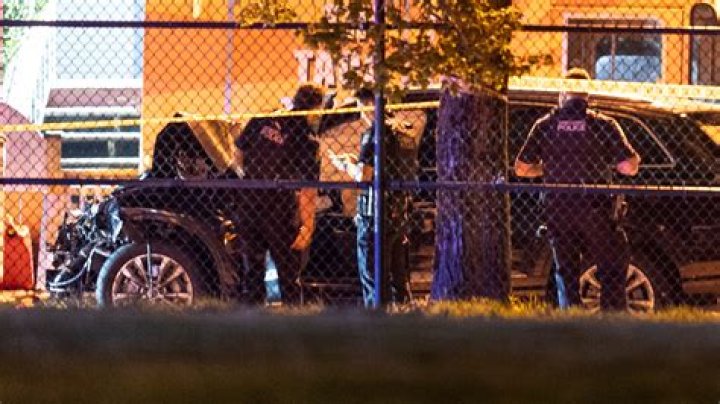 'Storage Wars' Son Was Shot, and the Suspect Has Now Been Arrested