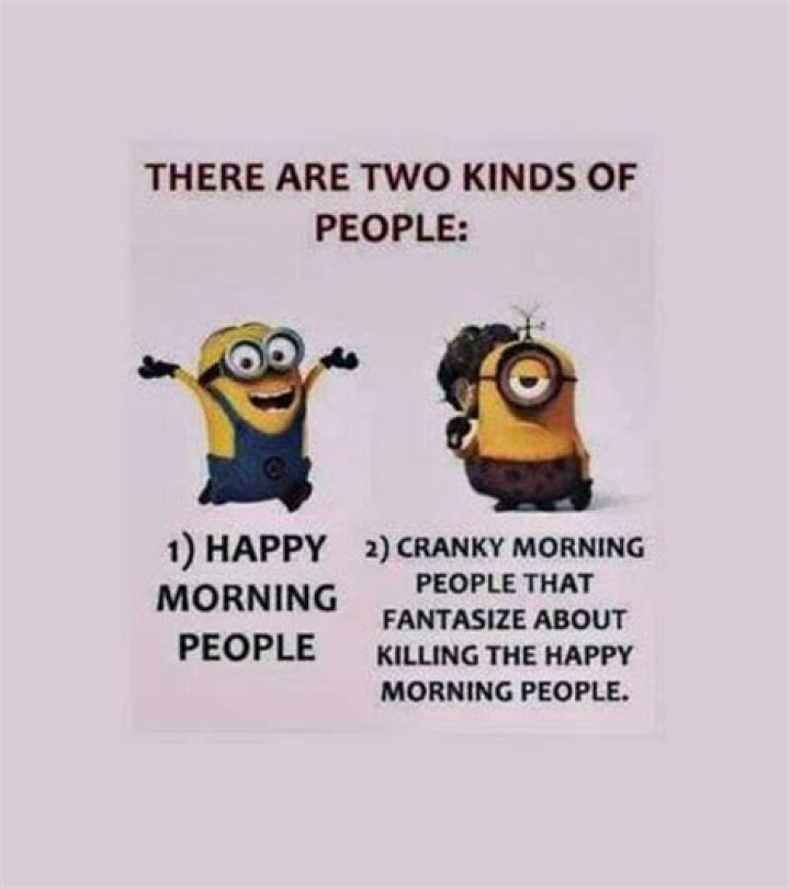 30+ funny good morning memes to send to your family and friends