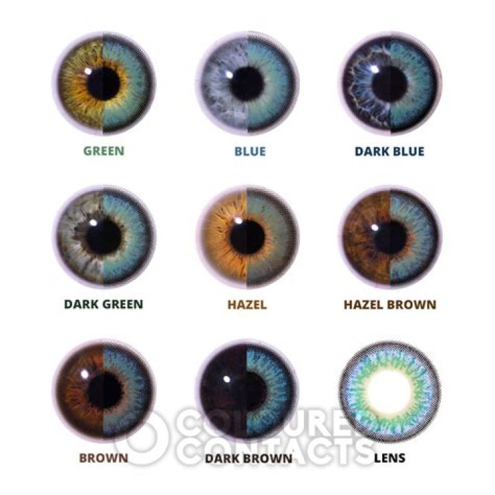 A Pair Of Brown Eyes by Cat Power from USA