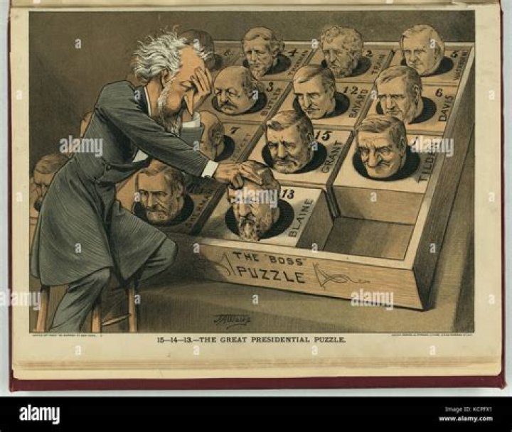 Alex Murdaugh: Unraveling The Political Puzzle