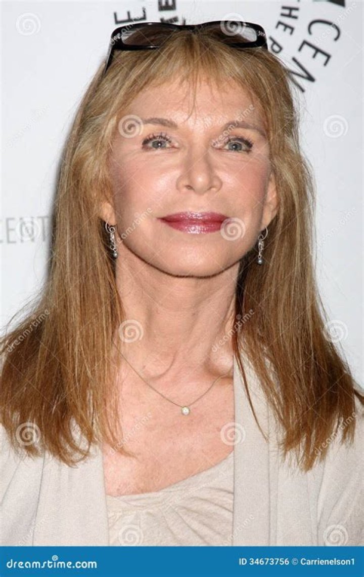 Ann Turkel Net Worth 2024