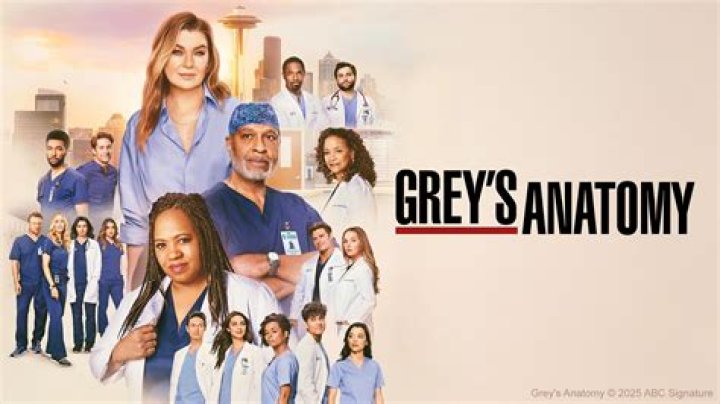 Blood Shortages Are out and More Doctors Are in for 'Grey's Anatomy' Season 19 — Meet the New Cast!
