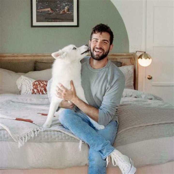 Daniel Preda’s biography: age, height, birthday, boyfriend