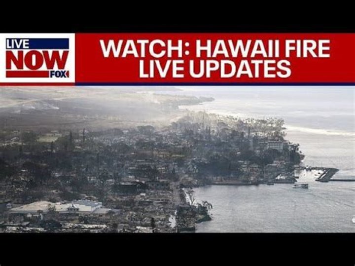 Did The Safeway in Lahaina burn down? Status of businesses affected by Maui wildfires explored