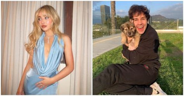 Fans Think the Sabrina Carpenter and David Dobrik Dating Rumors Are Nonsense — but Are They?
