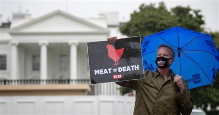 "Got Autism?" — PETA Under Fire for Viral 2008 Advertisement