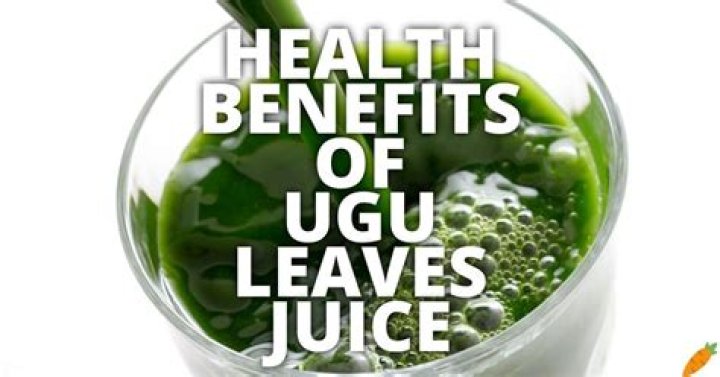 Health benefits of ugu leaves