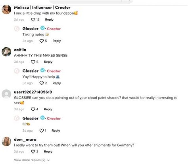 Here’s What All of Those “CEO” Comments on TikTok Actually Mean