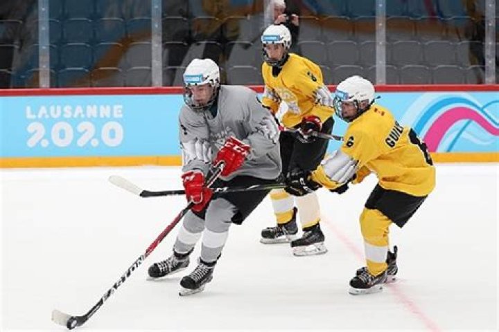 How Did Hockey Referee Die?