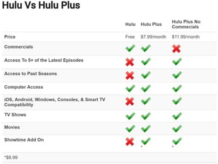 Hulu Net Worth – How Much Is Hulu Worth?