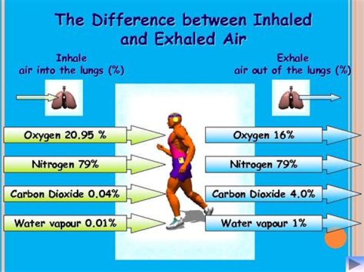 Inhale/Exhale Air 