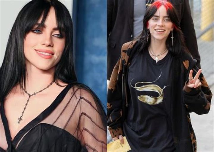 Is Billie Eilish Gay? She's 'Physically Attracted' to Women