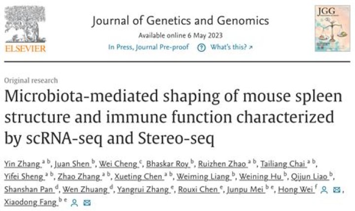 Jacob Roloff's Height: A Unique Story Of Genetics And Determination