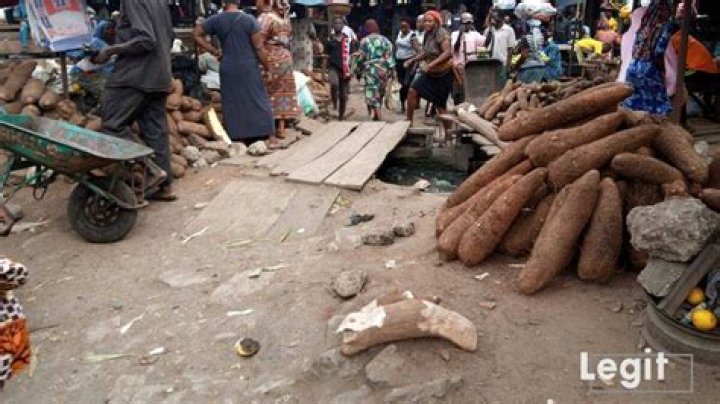 Legit.ng weekly price check: Fruit sellers in popular Lagos market speak on low sales, poor market condition