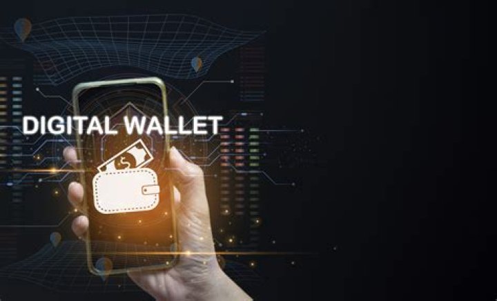 List of all wallets in the new eNaira launched by Buhari