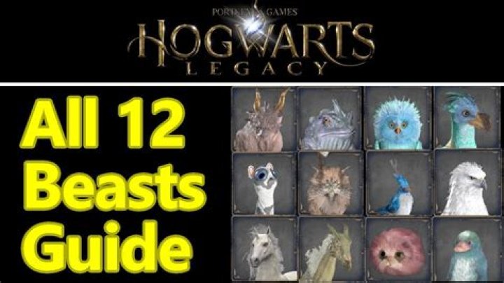 Looking to Catch Shiny Beasts in 'Hogwarts Legacy'? Here’s How to Find Them