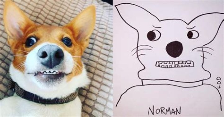 Person Draws Hilariously Simplistic Photos of Their Dogs and Went Completely Viral