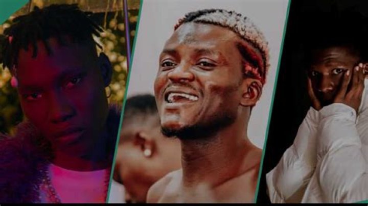 Portable Pleads With Seyi Vibez, Zino, Says He Only Wants to Make Music: "What About Bobrisky?"