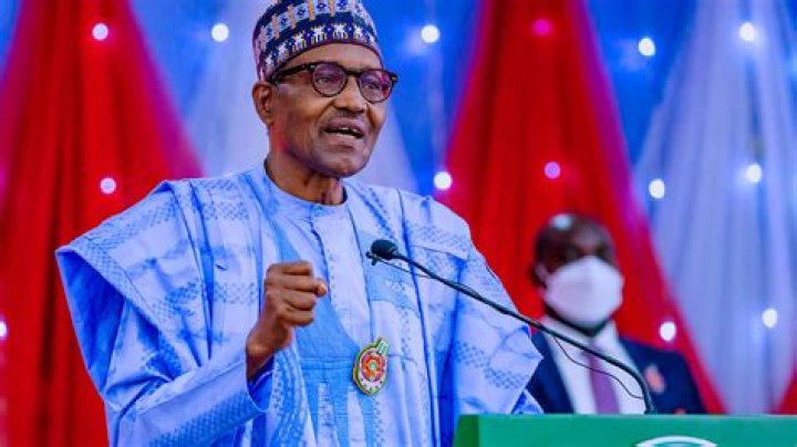 President Buhari says Nigeria is worried about Niger Republic's stability