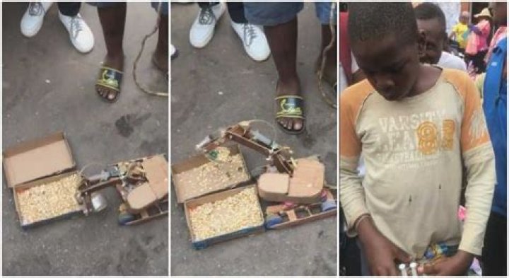 "Pure Genius": Little Boy Builds Sophisticated Excavator And Operates in Public, People Shout in Viral Video