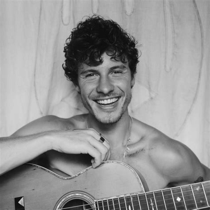 Shawn Mendes from USA | Popnable