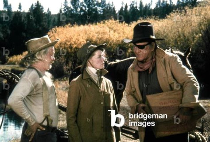 Strother Martin Biography, Age, Height, Wife, Net Worth, Family