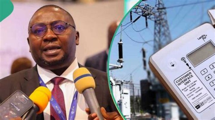 Tinubu’s Minister Under Fire Over High Electricity Tariff: “He Doesn’t Know What Power Is”