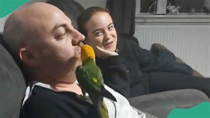 Trained Parrot Feeds Man Chips, Takes It from His Lap, and Places It in His Mouth