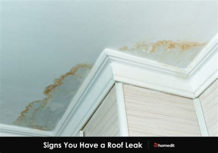 Video of Rented Apartment With Leaky Roof Causes Buzz Online, Man Gives Tour, Cooks in “Kitchen”