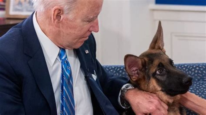 Weeks after getting presidential pass, Joe Biden's dogs kicked out of White House for biting incident