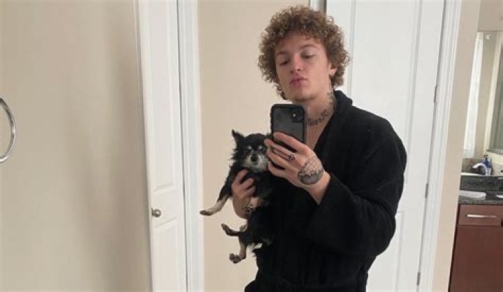 What Does Owa Owa Mean on TikTok? A Very Cute Viral Trend, Explained