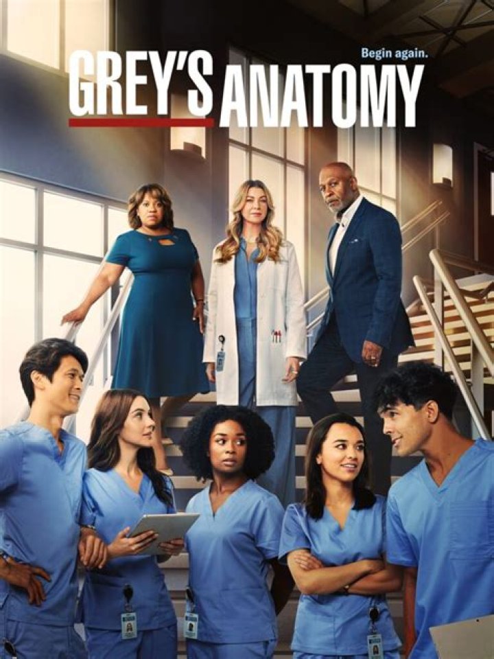 What Happened Between Amelia and Link on 'Grey's Anatomy' – and Are They Getting Back Together?