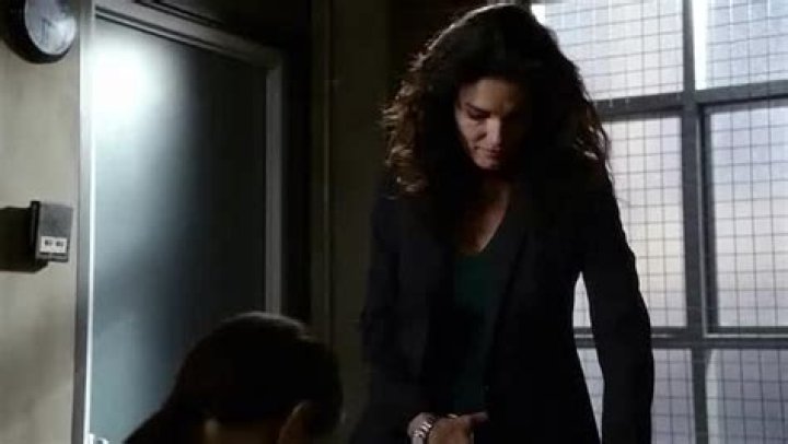 What Happened to Susie, the Senior Criminalist on 'Rizzoli & Isles'?