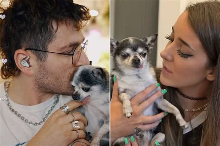 Who Is Jenna Marbles' Boyfriend? They're Now Engaged!