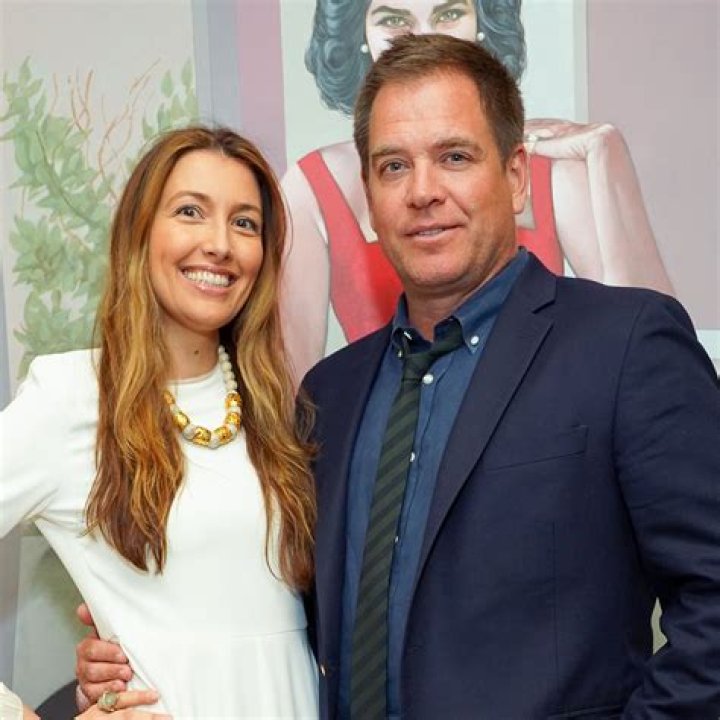 Who Is Michael Weatherly's Wife? Does He Have Any Exes?