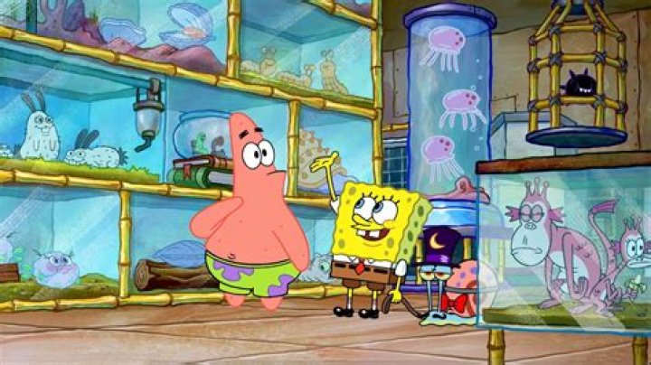 Why Patrick Lives Under a Rock on 'SpongeBob SquarePants' Explained